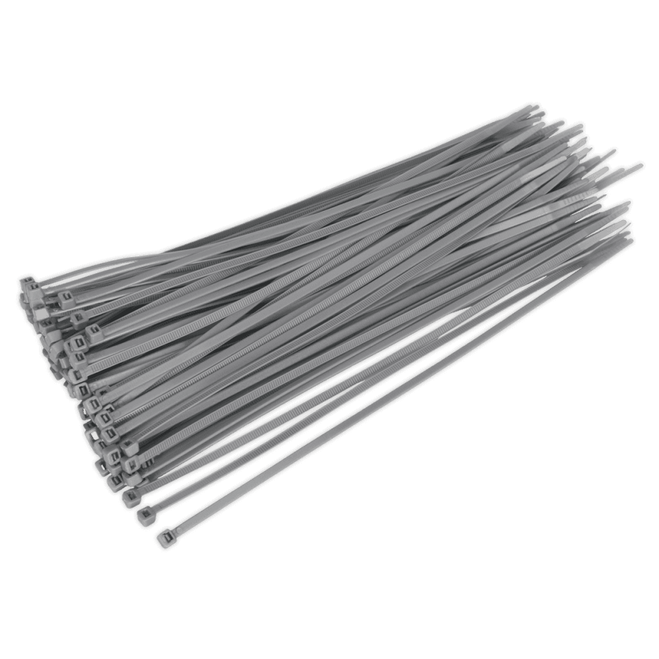 Sealey Cable Ties 300 x 4.8mm Silver Pack of 100 Model No-CT30048P100S