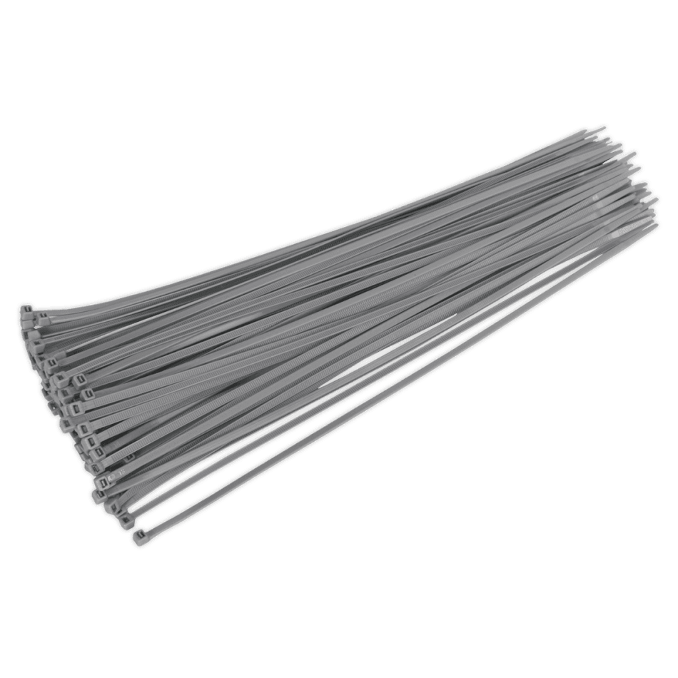 Sealey Cable Ties 380 x 4.8mm Silver Pack of 100 Model No-CT38048P100S