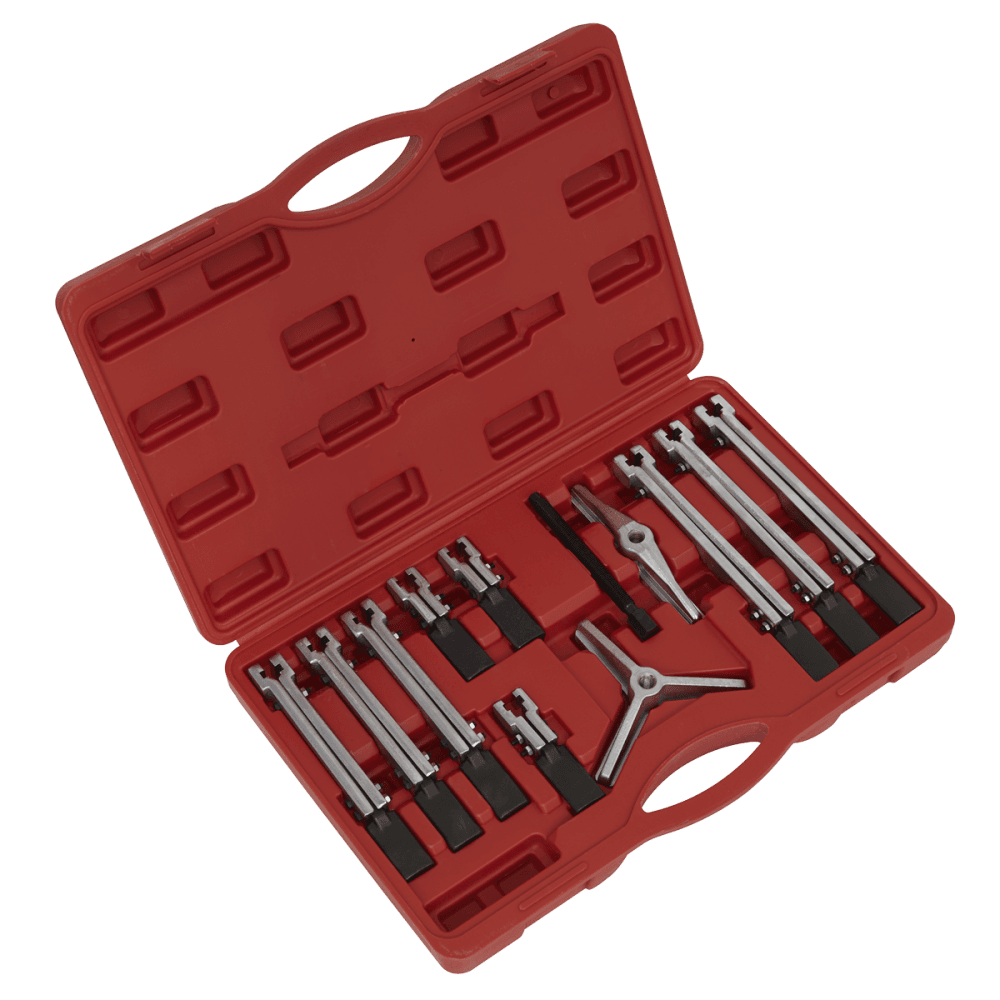 Sealey Bearing & Gear Puller Set 12pc Model No-PS900