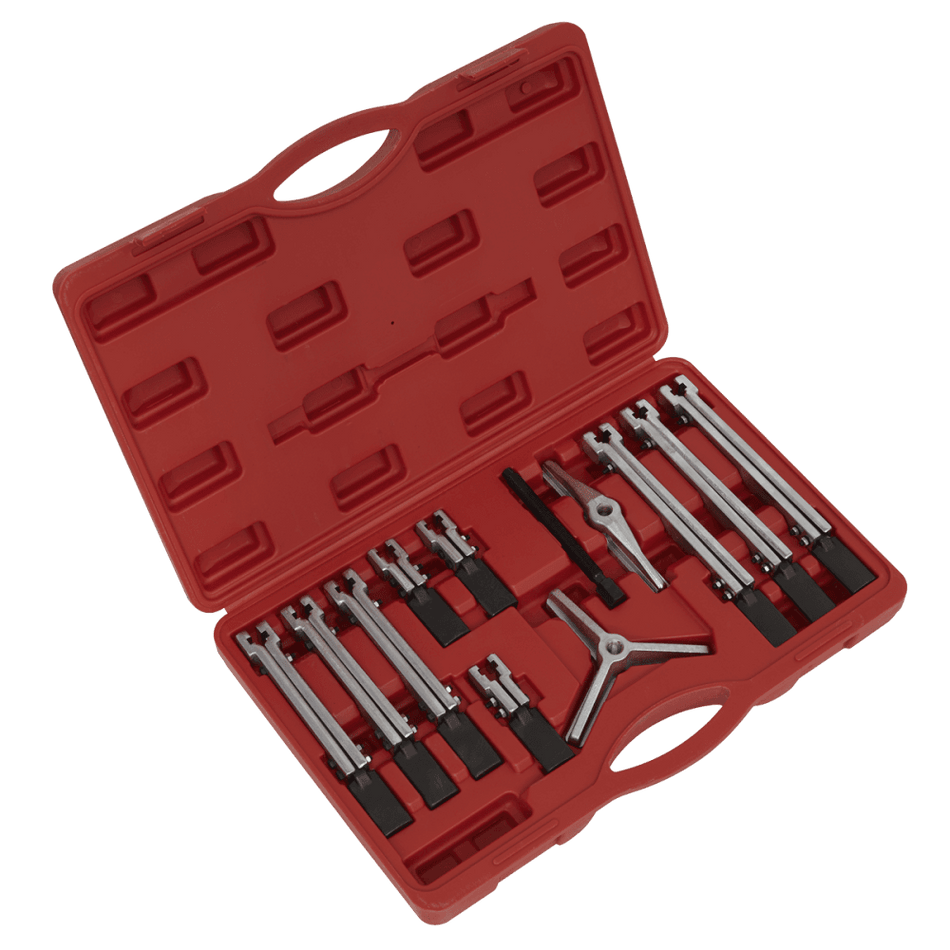 Sealey Bearing & Gear Puller Set 12pc Model No-PS900