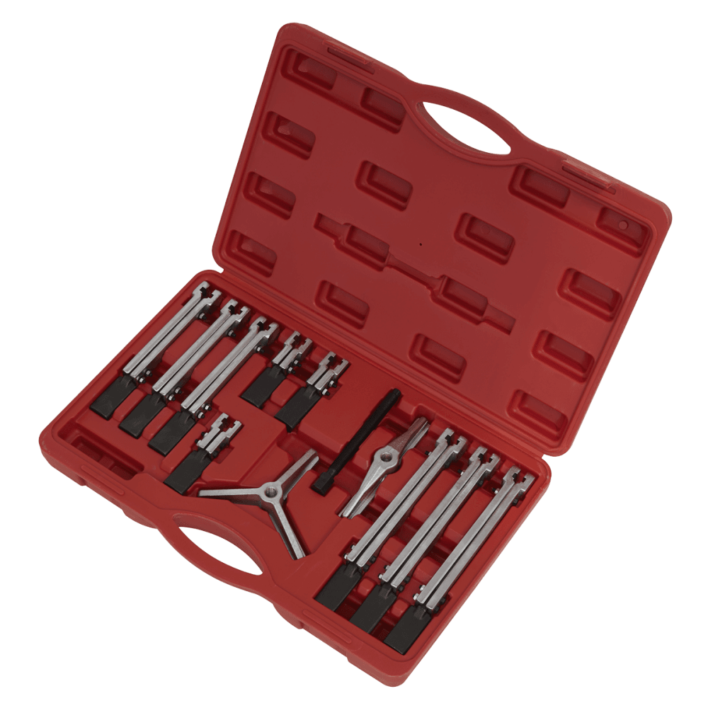 Sealey Bearing & Gear Puller Set 12pc Model No-PS900