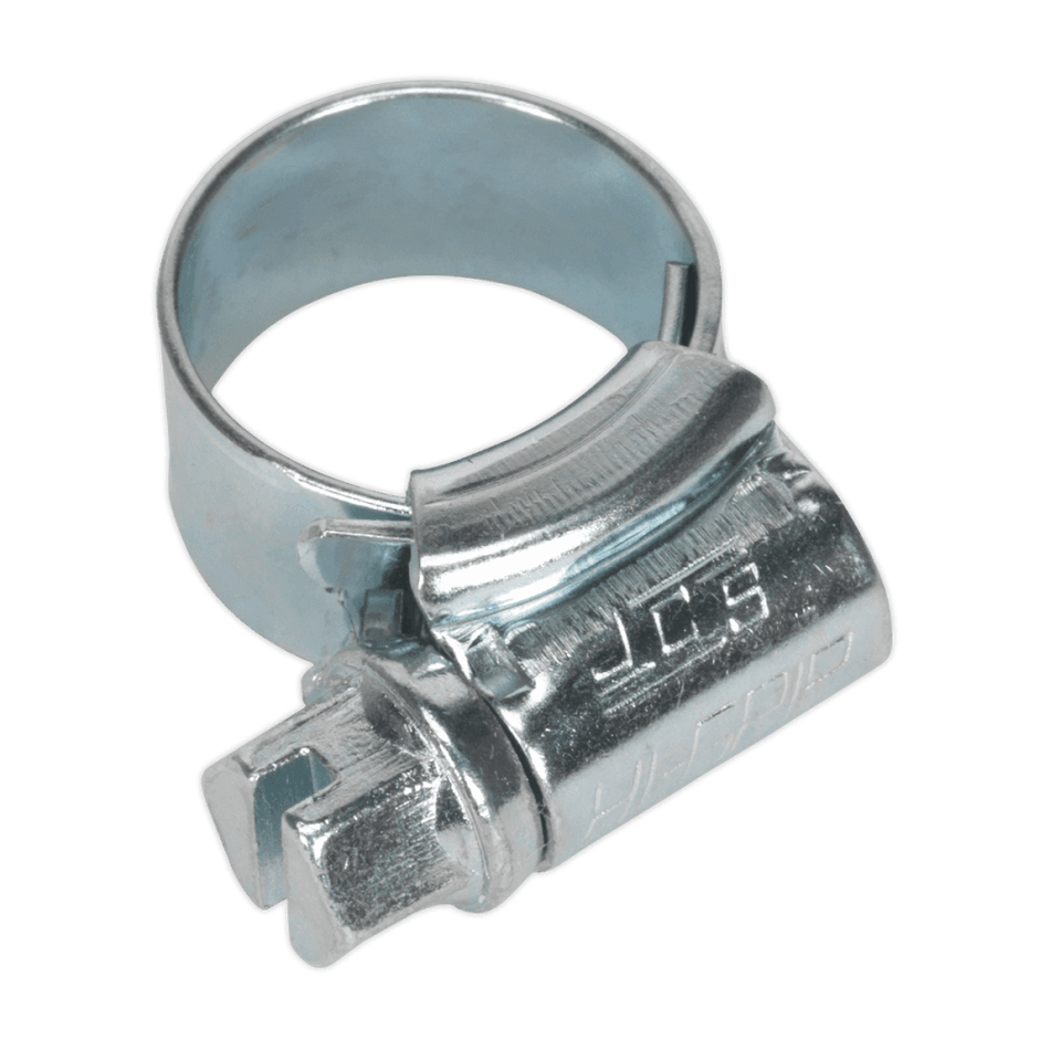 Sealey Hi-Grip Hose Clips Zinc Plated Ã‡ÂŸÂ¶?9.5-12mm Pack of 30 Model No- HCJ000