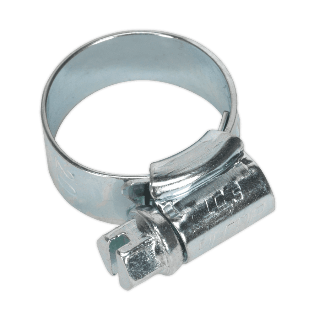 Sealey Hi-Grip Hose Clips Zinc Plated Ã‡ÂŸÂ¶?13-20mm Pack of 30 Model No- HCJ00