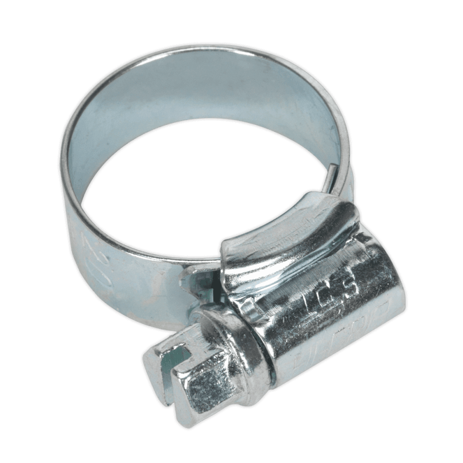 Sealey Hi-Grip Hose Clips Zinc Plated Ã‡ÂŸÂ¶?13-20mm Pack of 30 Model No- HCJ00