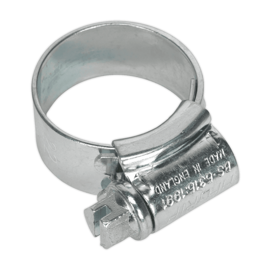 Sealey Hi-Grip Hose Clips Zinc Plated Ã‡ÂŸÂ¶?14-22mm Pack of 30 Model No- HCJ0