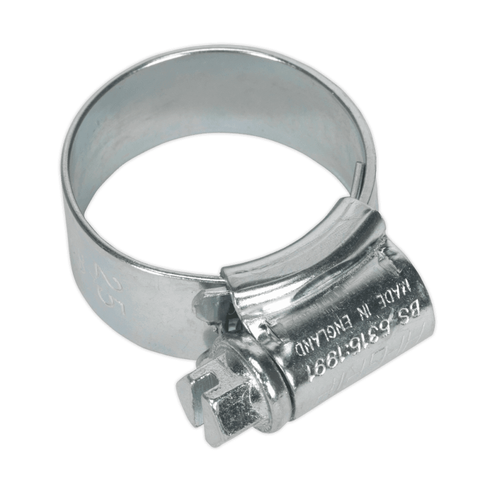 Sealey Hi-Grip Hose Clips Zinc Plated Ã‡ÂŸÂ¶?17-25mm Pack of 20 Model No- HCJ0X