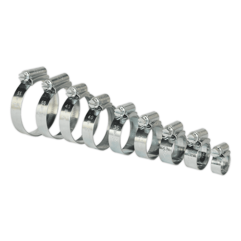 Sealey Hi-Grip Hose Clips Assortment Sizes Ã‡ÂŸÂ¶?12-55mm Pack of 85 Model No- HCJ85A
