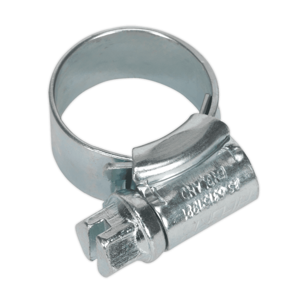 Sealey Hi-Grip Hose Clips Zinc Plated Ã‡ÂŸÂ¶?11-16mm Pack of 30 Model No- HCJM00