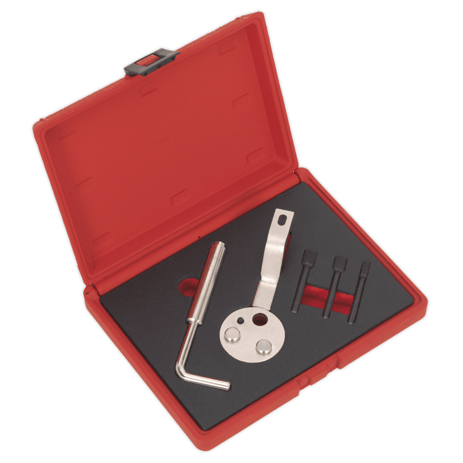 Sealey Diesel Engine Setting/Locking Kit Ford 2.2D TDCi Transit - Chain Drive Model No-19702