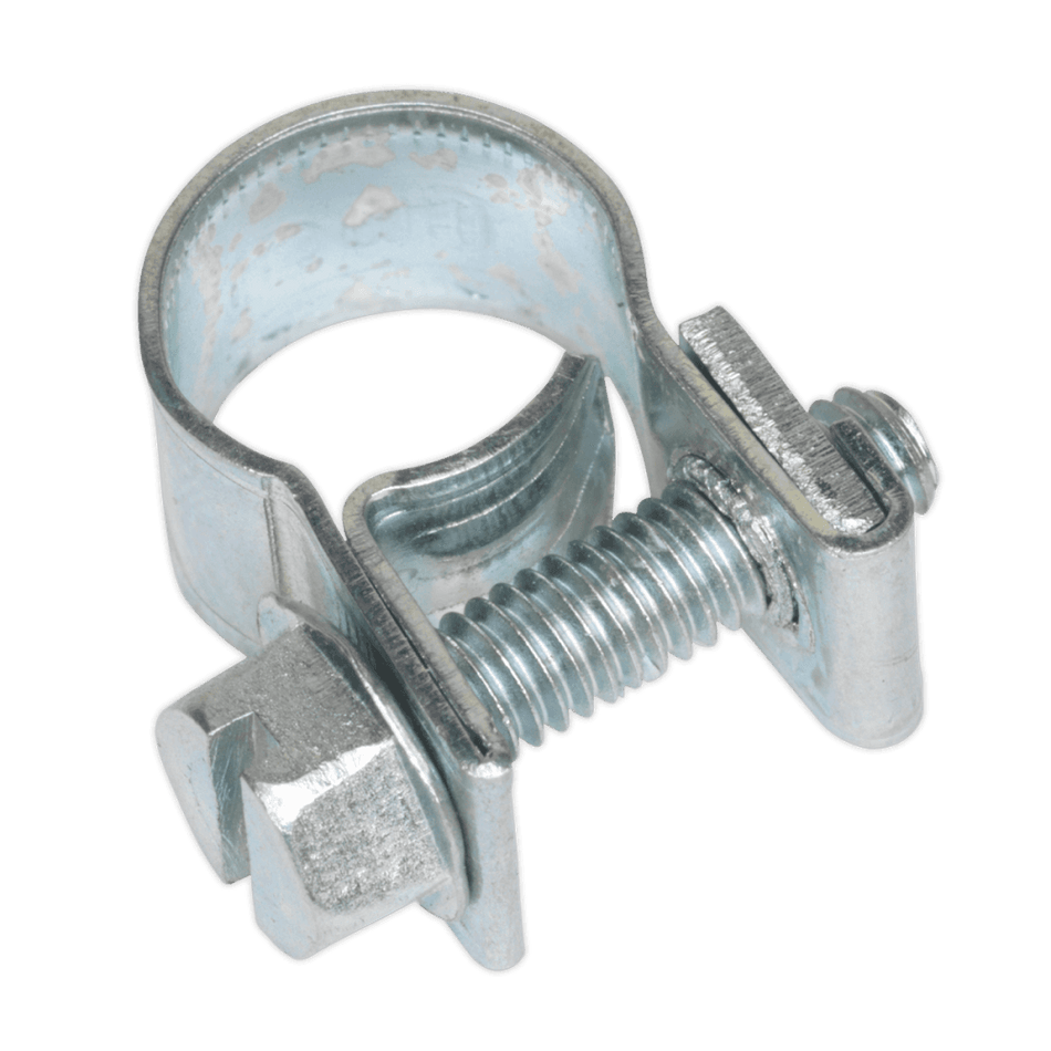 Sealey Mini Hose Clip 8-10mm Pack of 30 Model No-19926