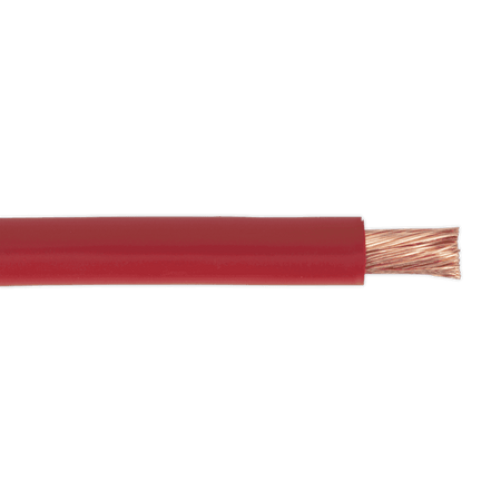 Sealey 10m Automotive Starter Cable 196/0.40mm 25mm² 170A - Red Model No-20270