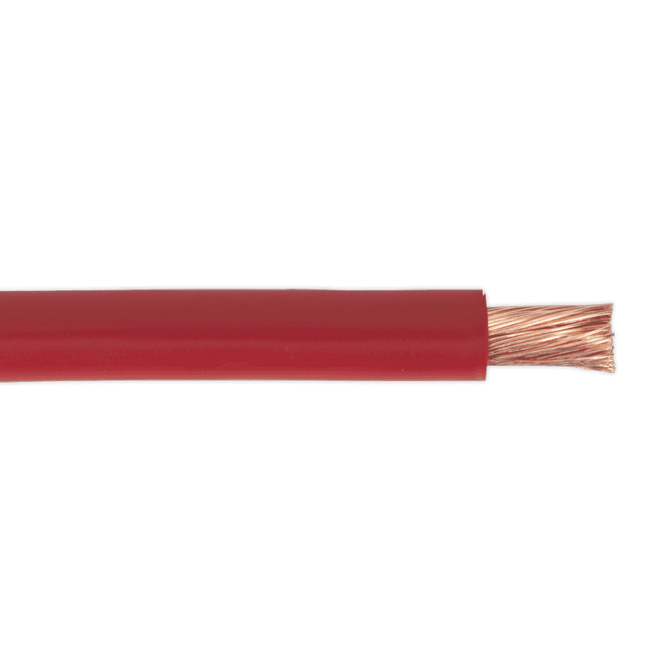 Sealey Starter Cable 196/0.40mm 25mmÃ‡Â« 170A 10mtr Red Model No-20270