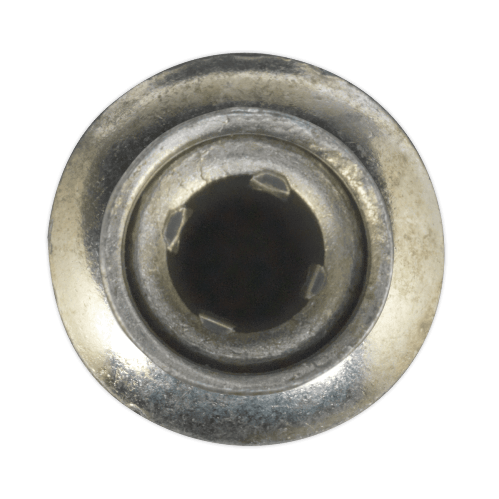 Sealey Steel Structural Rivet Zinc Plated 6.3 x 32mm Pack of 100 Model No-19863