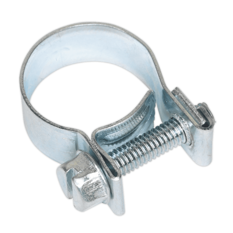 Sealey Mini Hose Clip 15-17mm Pack of 20 Model No-19940