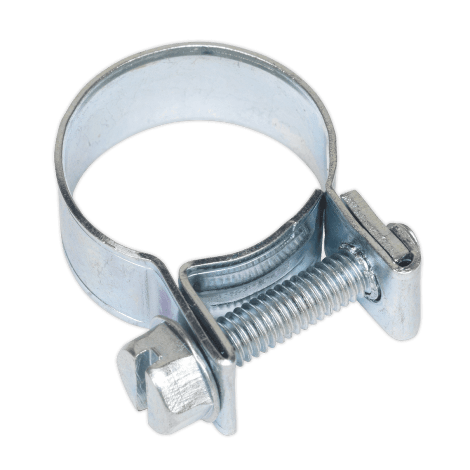 Sealey Mini Hose Clip 16-18mm Pack of 20 Model No-19941