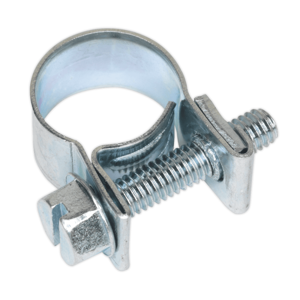 Sealey Mini Hose Clip 10-12mm - Pack of 30 Model No-19942