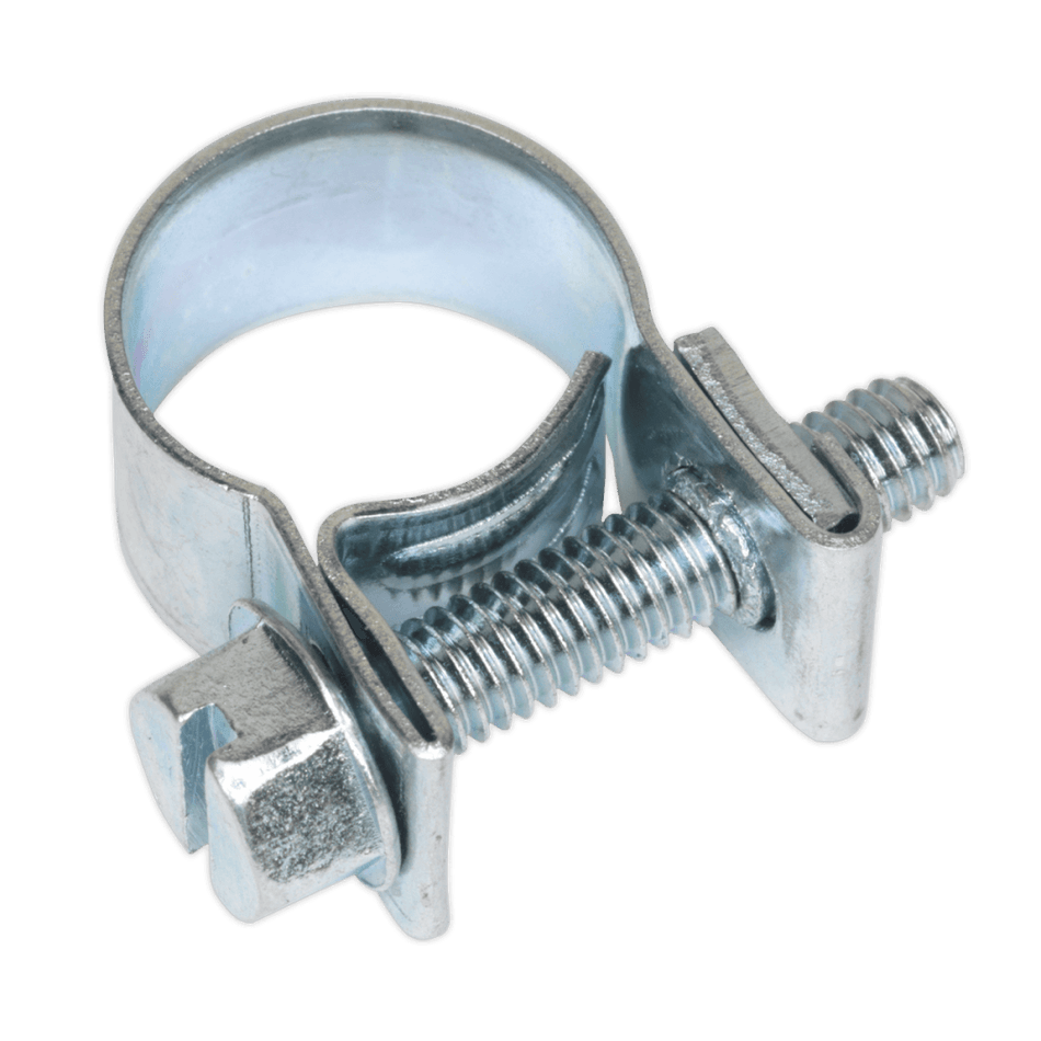 Sealey Mini Hose Clip 10-12mm Pack of 30 Model No-19942