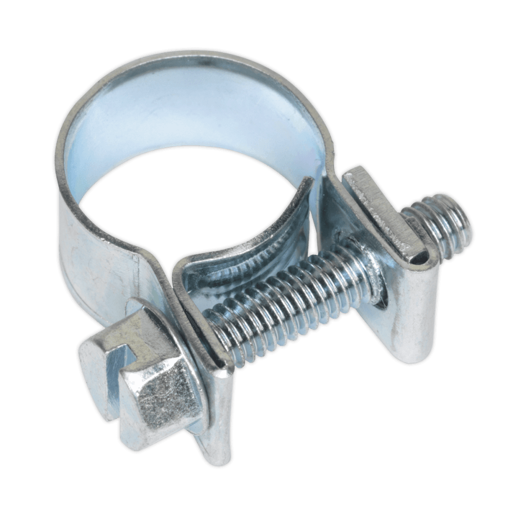 Sealey Mini Hose Clip 11-13mm Pack of 30 Model No-19943