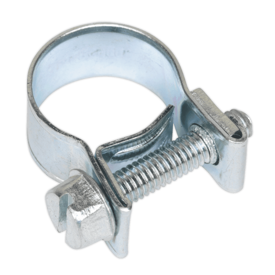 Sealey Mini Hose Clip 12-14mm Pack of 30 Model No-19944