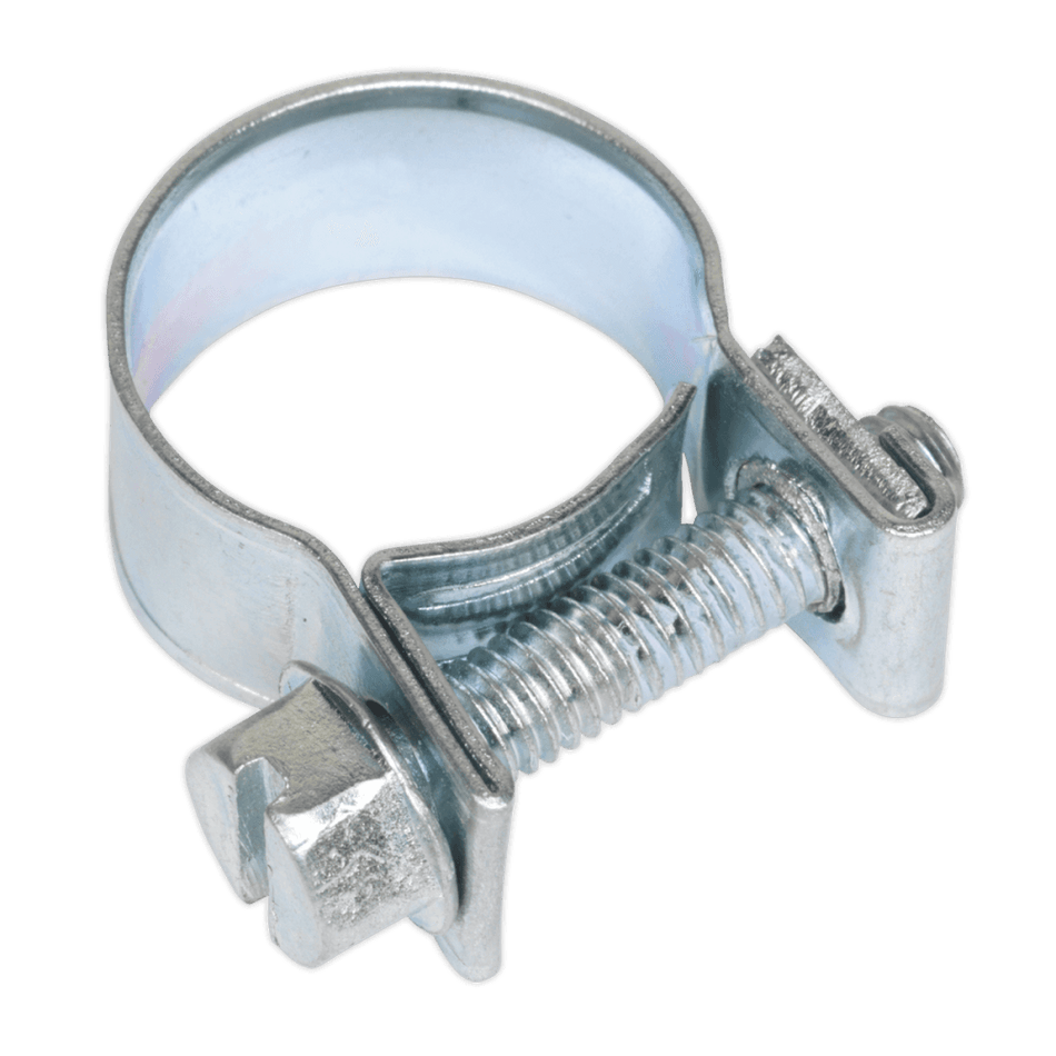 Sealey Mini Hose Clip 13-15mm Pack of 30 Model No-19945