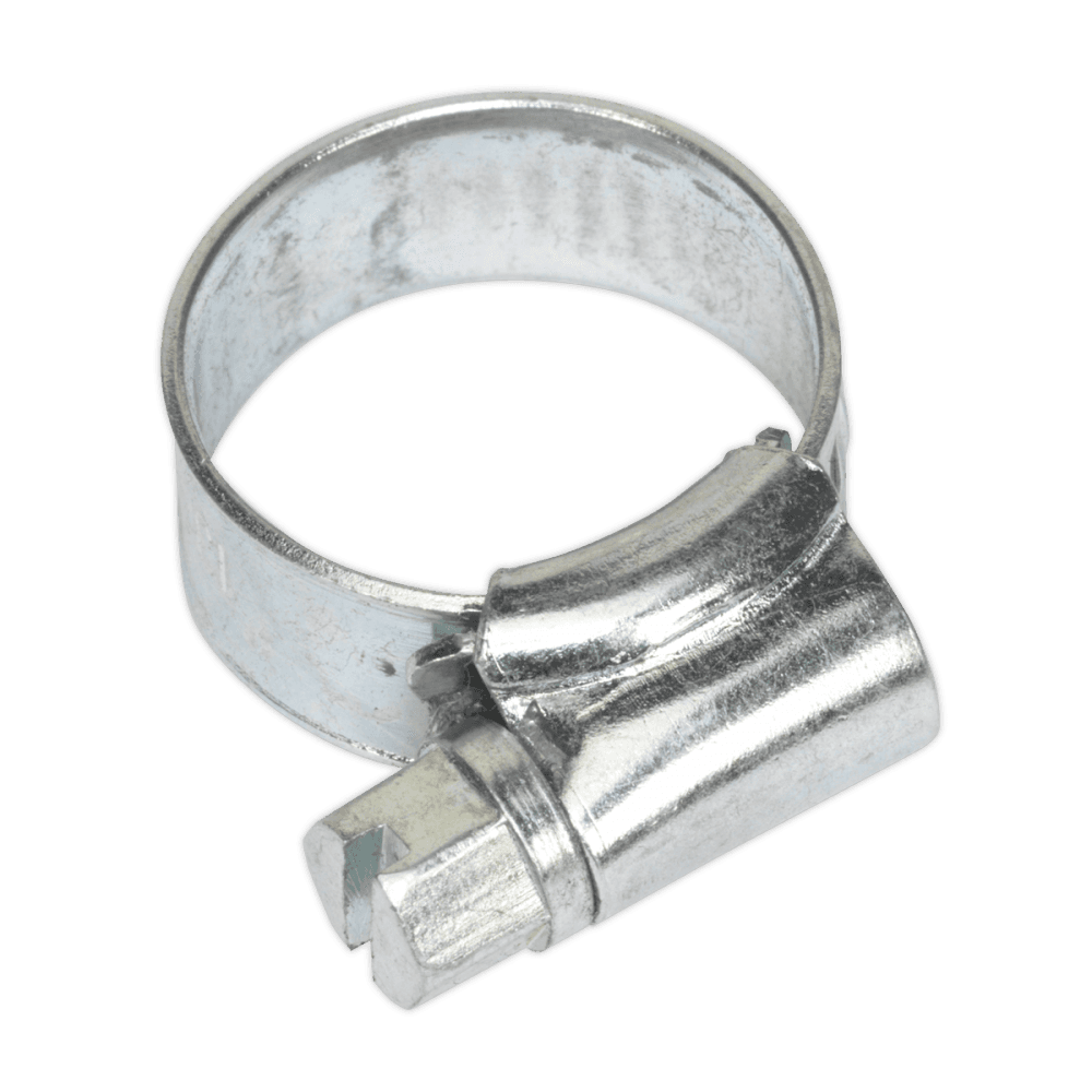Sealey Zinc Plated Hose Clip 13-19mm - Pack of 30 Model No-20060