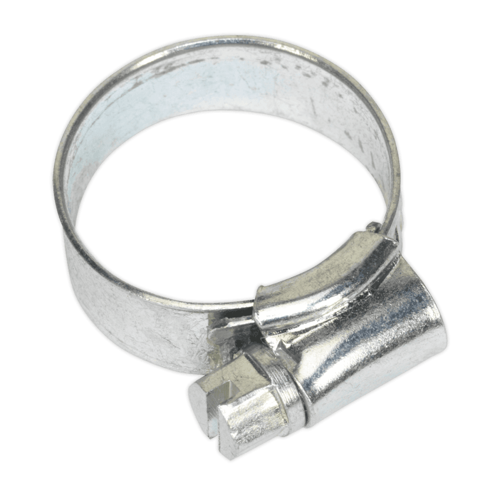 Sealey Zinc Plated Hose Clip 16-22mm - Pack of 30 Model No-20078