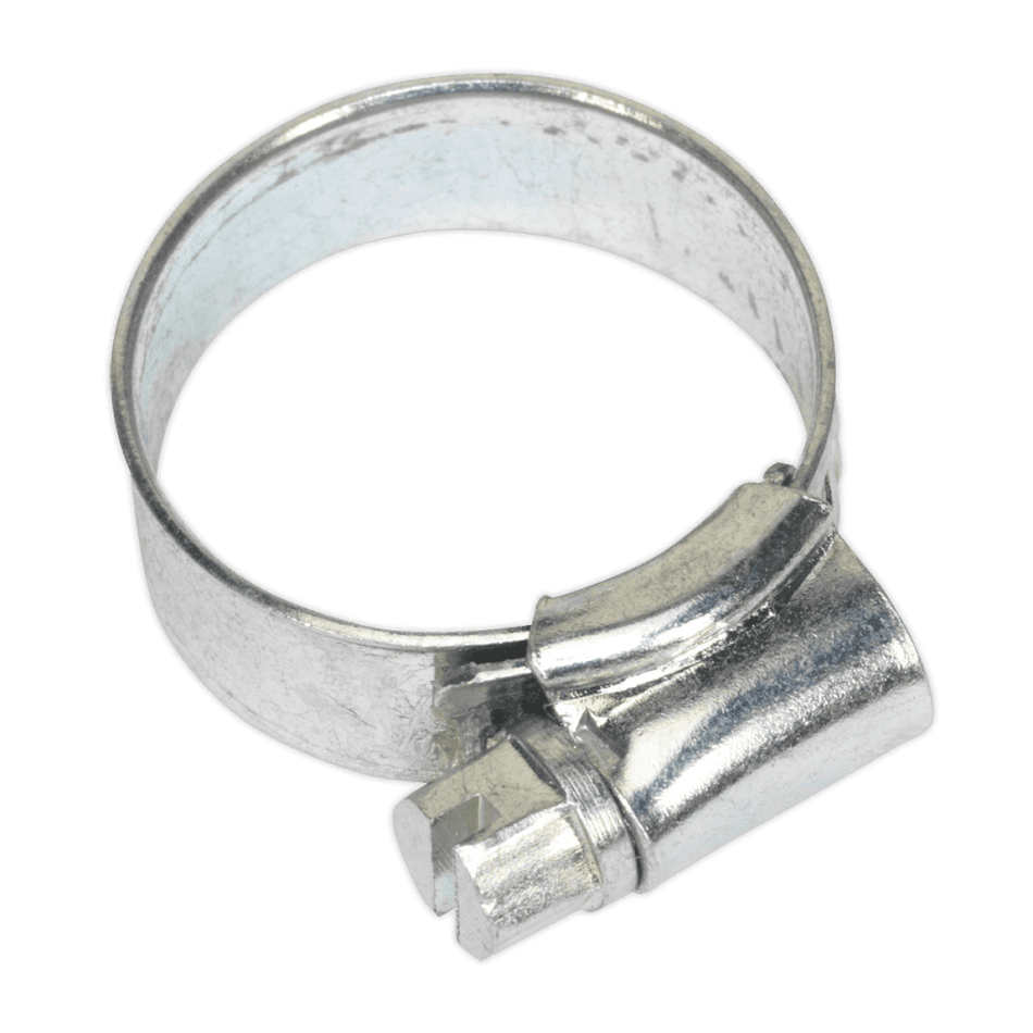 Sealey Hose Clip 16-22mm Pack of 30 Model No-20078