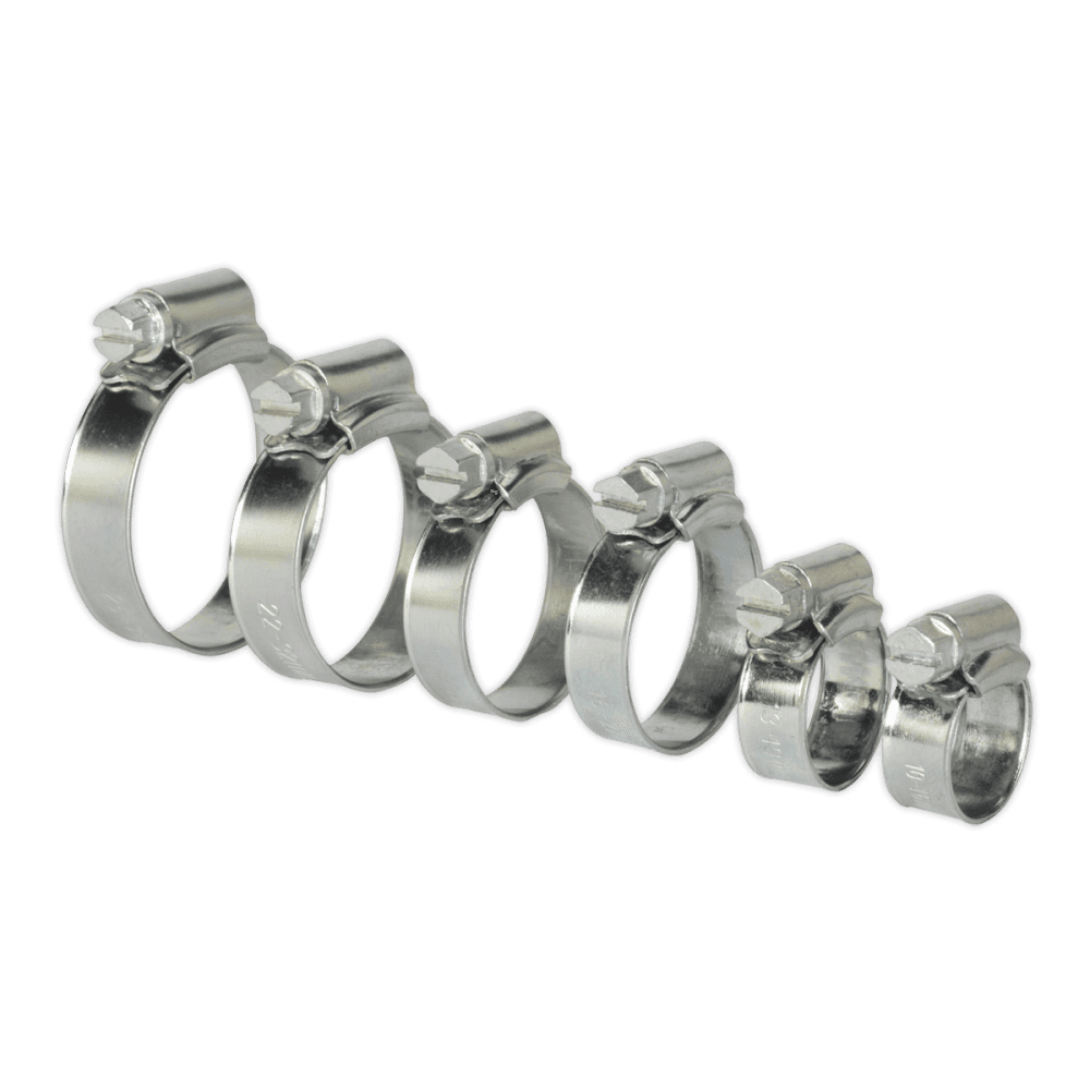 Sealey Zinc Plated Hose Clip Assortment 8-29mm 30pc Model No-20129