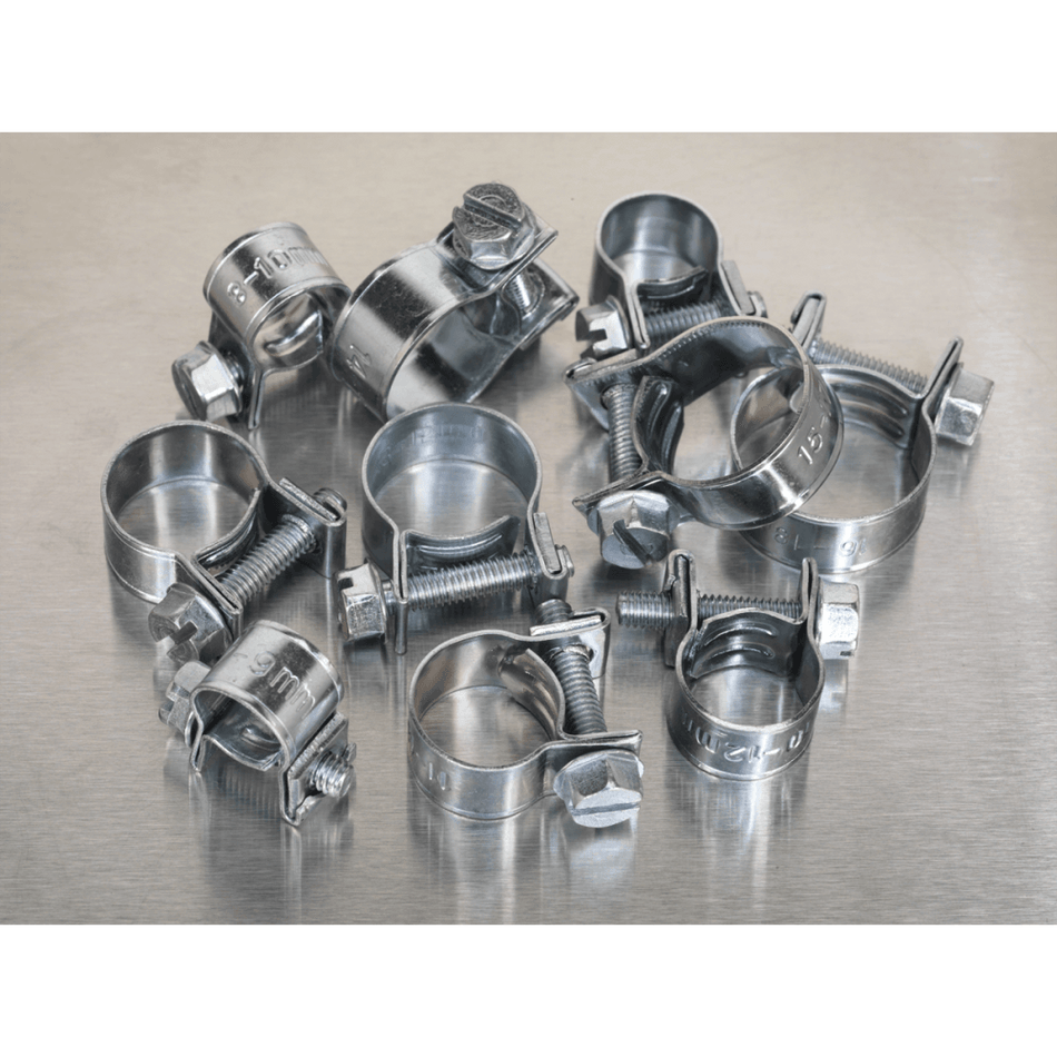 Sealey Mini Hose Clip Assortment 100pc Model No-. AB042MH