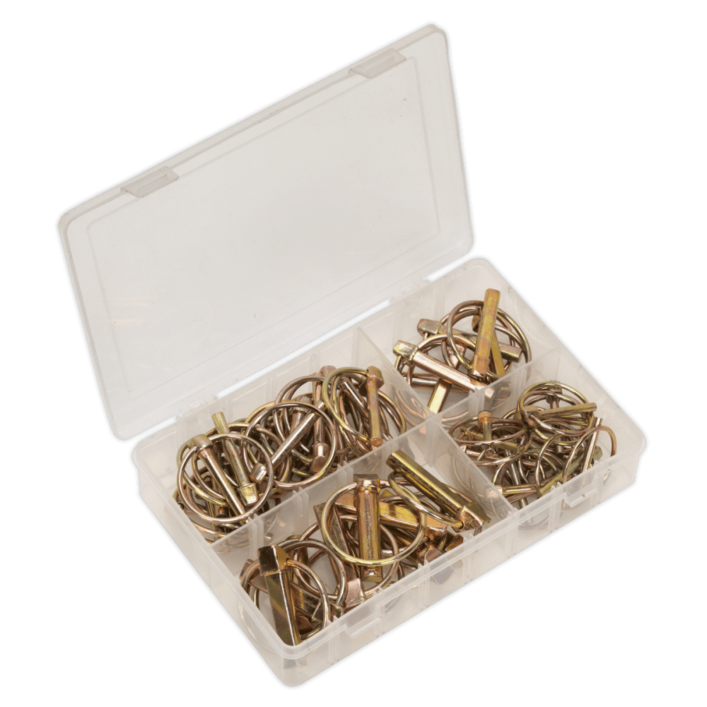 Sealey Linch Pin Assortment 50pc Metric Model No-. AB022LP