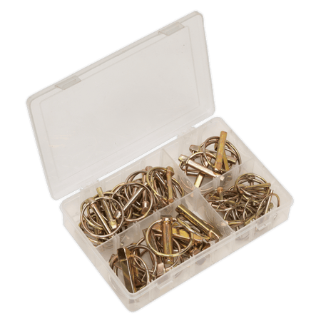 Sealey Linch Pin Assortment 50pc Metric Model No-. AB022LP