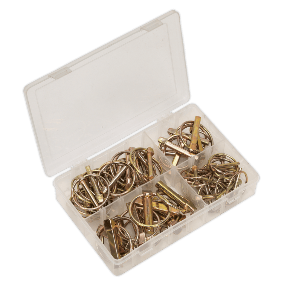 Sealey Linch Pin Assortment 50pc Metric Model No-. AB022LP