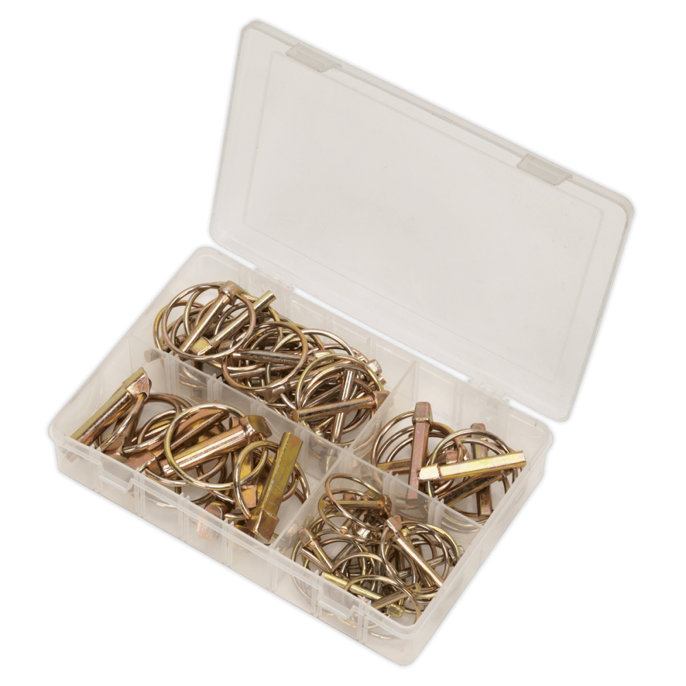 Sealey Linch Pin Assortment 50pc Metric Model No-. AB022LP