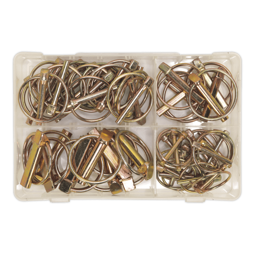 Sealey Linch Pin Assortment 50pc Metric Model No-. AB022LP