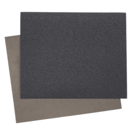 Wet & Dry Paper 230 x 280mm 1000Grit Pack of 25 : Model No.WD23281000