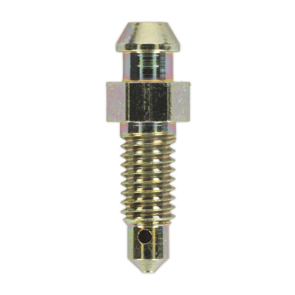 Brake Bleed Screw M6 x 29mm 1mm Pitch Pack of 10 : Model No.BS6129