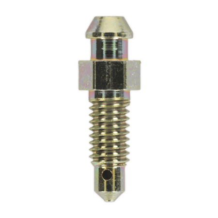 Brake Bleed Screw M6 x 29mm 1mm Pitch Pack of 10 : Model No.BS6129