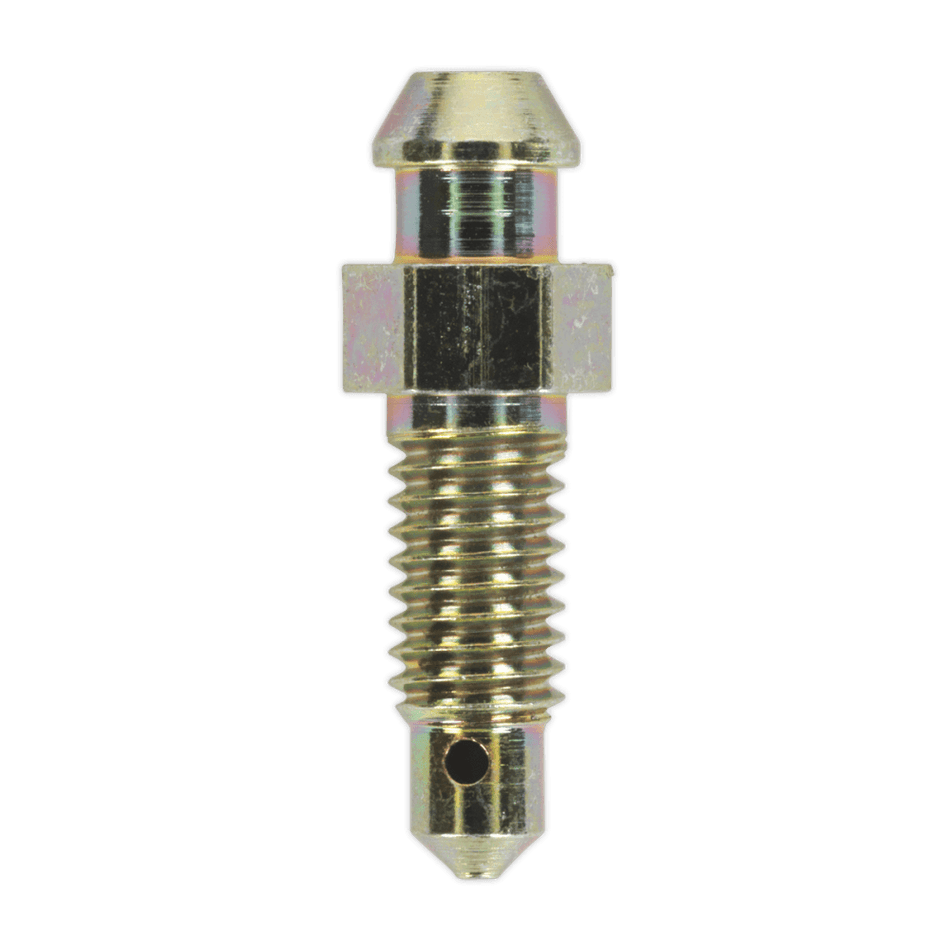 Brake Bleed Screw M6 x 29mm 1mm Pitch Pack of 10 : Model No.BS6129