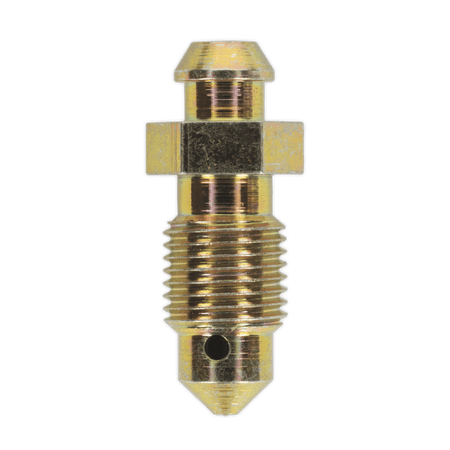 Brake Bleed Screw M10 x 30mm 1mm Pitch Pack of 10 : Model No.BS10130