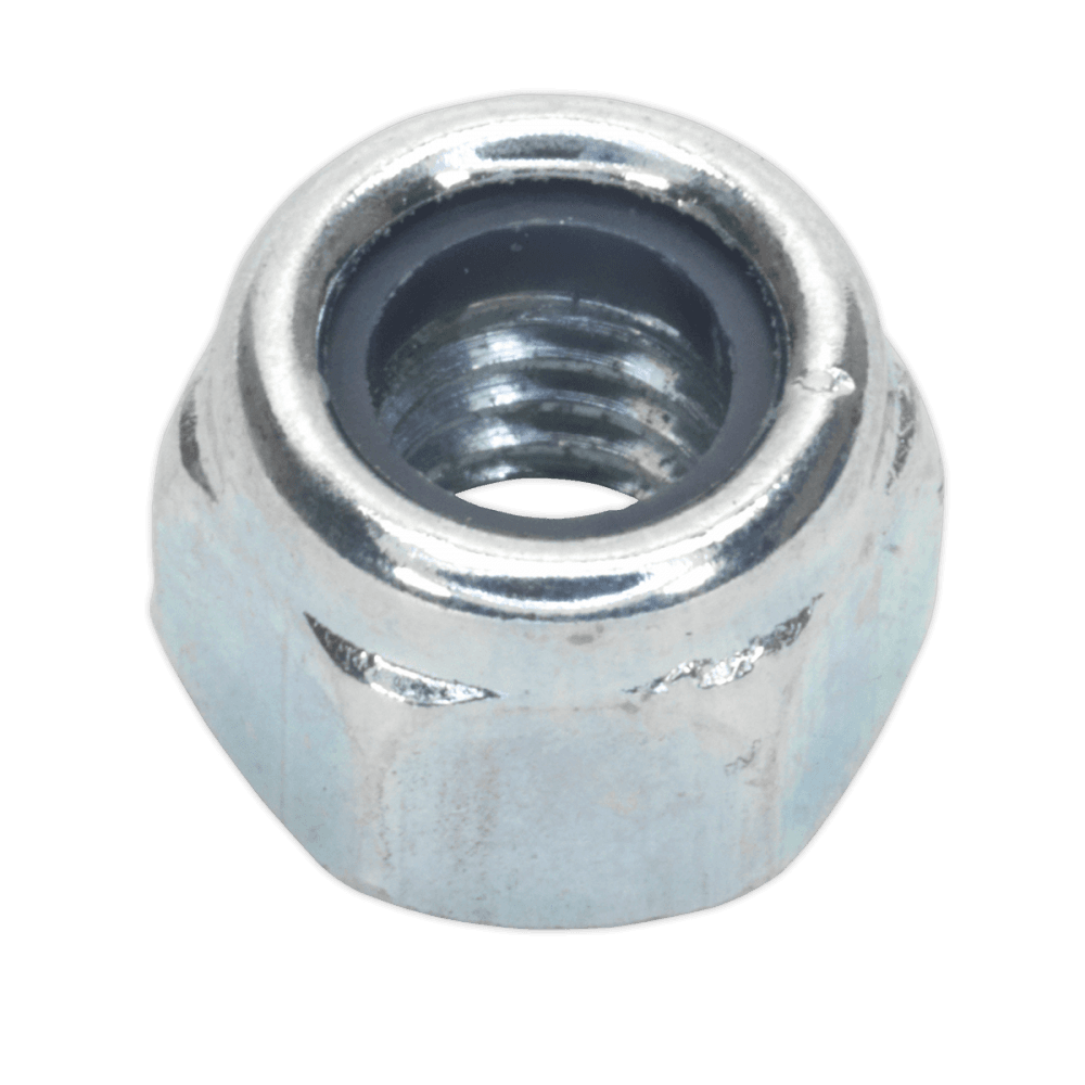 Nylon Lock Nut M6 Zinc DIN 982 Pack of 100 : Model No.NLN6