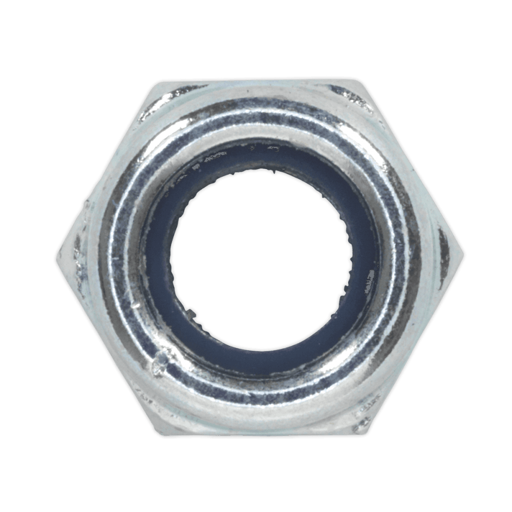Nylon Lock Nut M6 Zinc DIN 982 Pack of 100 : Model No.NLN6