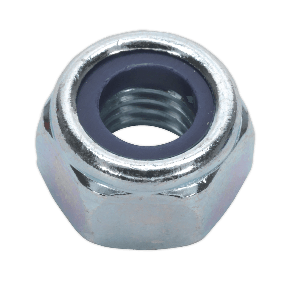 Nylon Lock Nut M10 Zinc DIN 982 Pack of 100 : Model No.NLN10