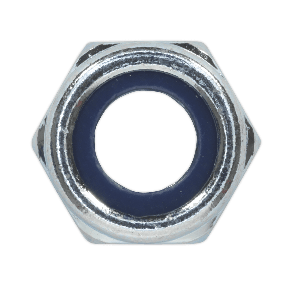 Nylon Lock Nut M10 Zinc DIN 982 Pack of 100 : Model No.NLN10