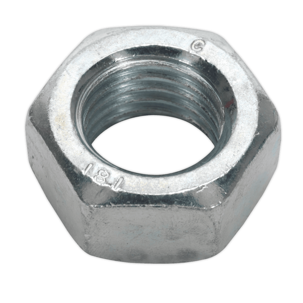 Steel Nut M20 Zinc DIN 934 Pack of 10 : Model No.SN20