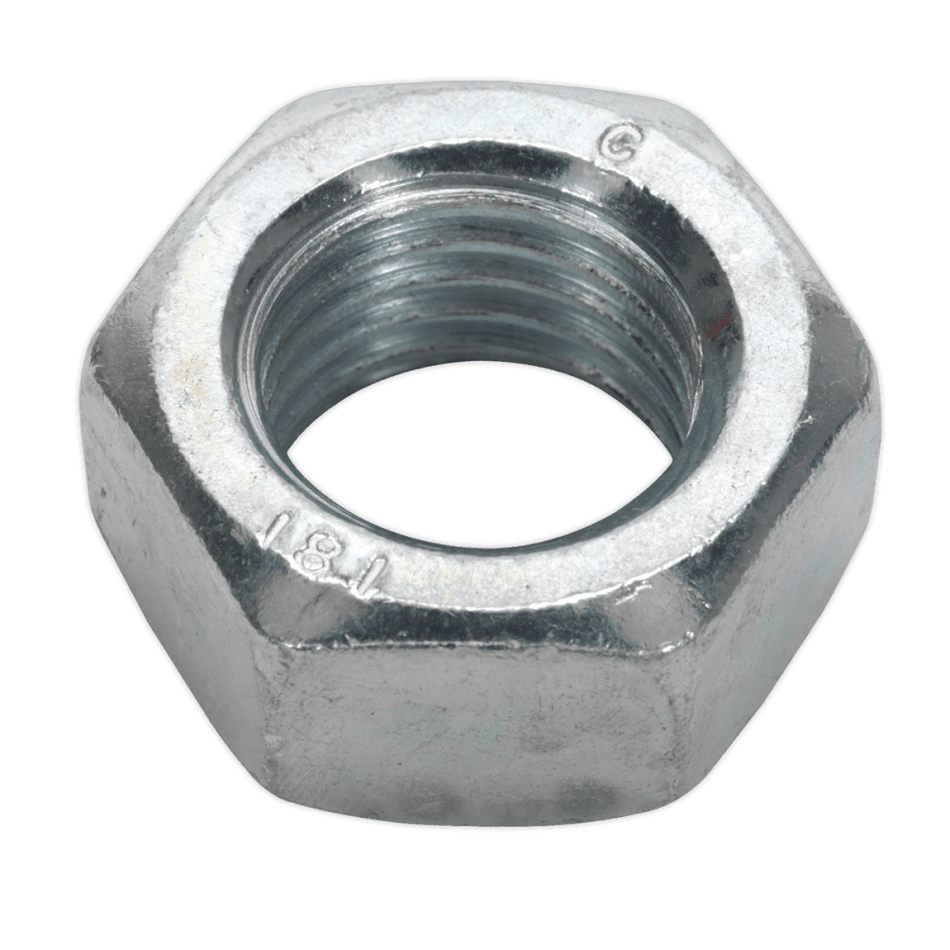 Steel Nut M20 Zinc DIN 934 Pack of 10 : Model No.SN20