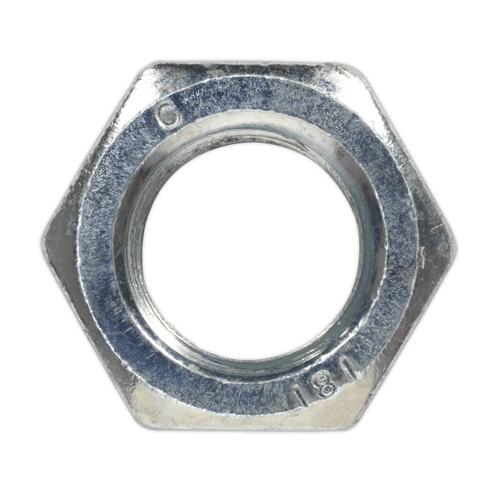 Steel Nut M20 Zinc DIN 934 Pack of 10 : Model No.SN20
