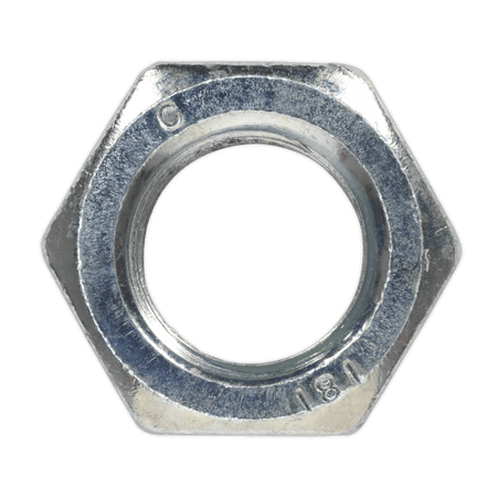 Steel Nut M20 Zinc DIN 934 Pack of 10 : Model No.SN20
