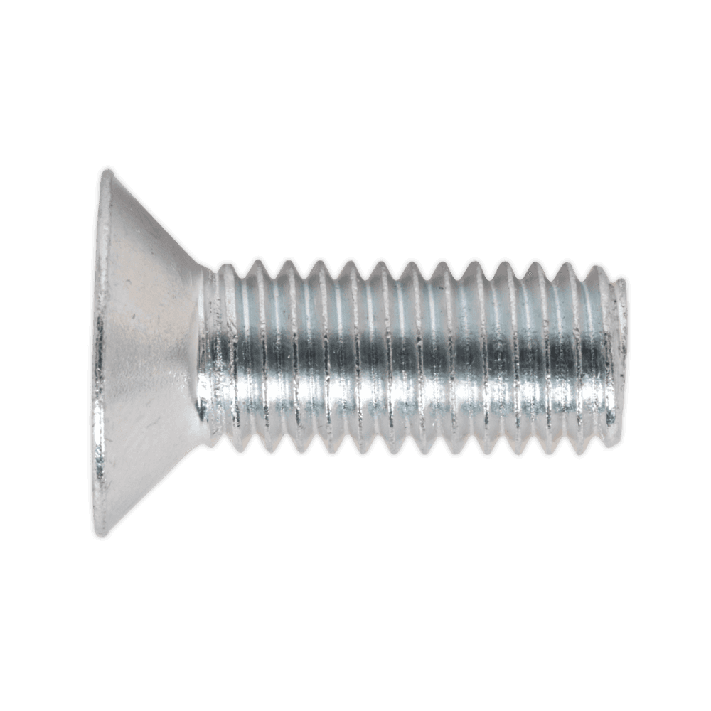 Machine (Body) Screw Assortment 264pc M5-M8 Countersunk DIN 965Z & Pan Head DIN 7985Z Pozi - Metric : Model No.AB054MS