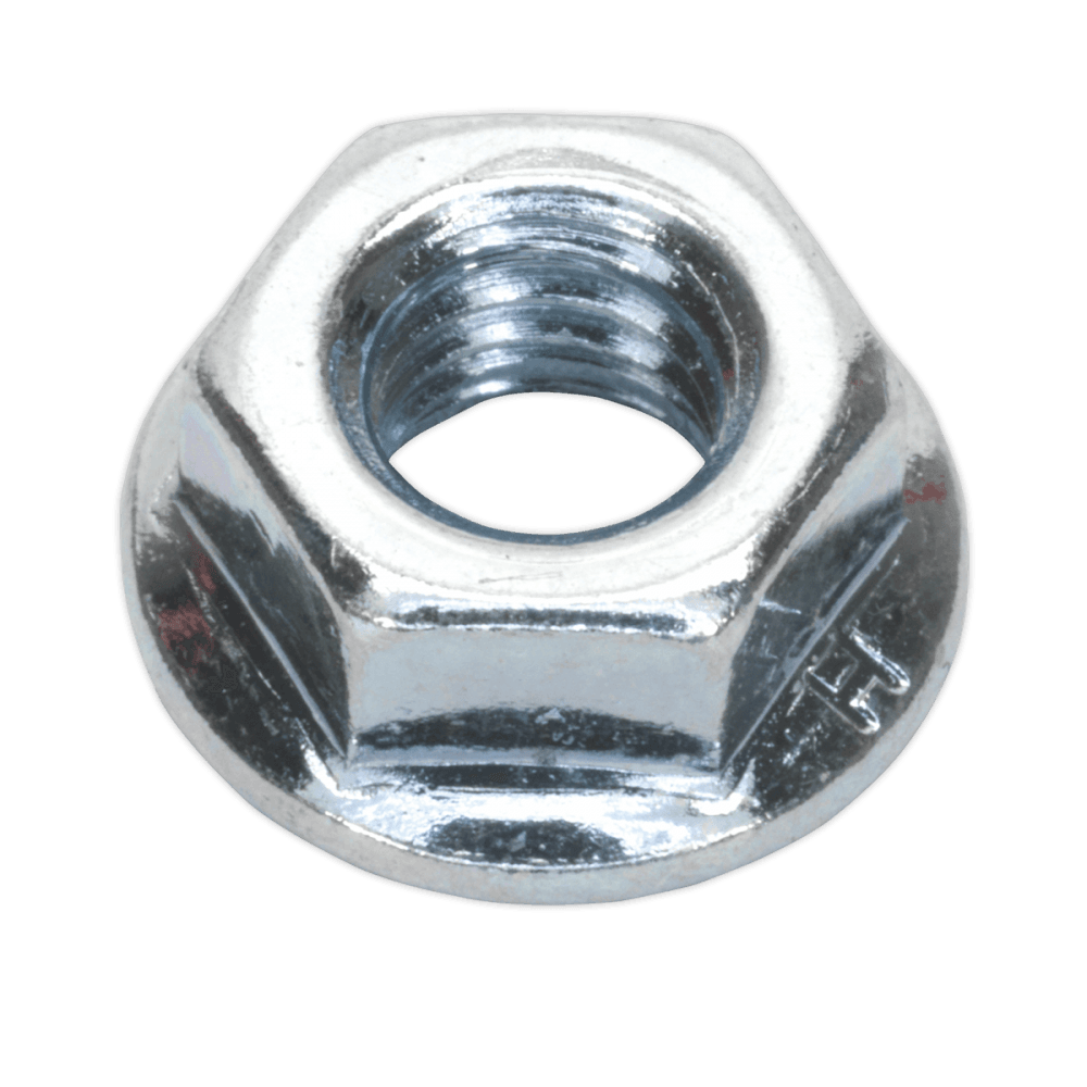 Flange Nut Serrated M6 Zinc DIN 6923 Pack of 100 : Model No.FN6