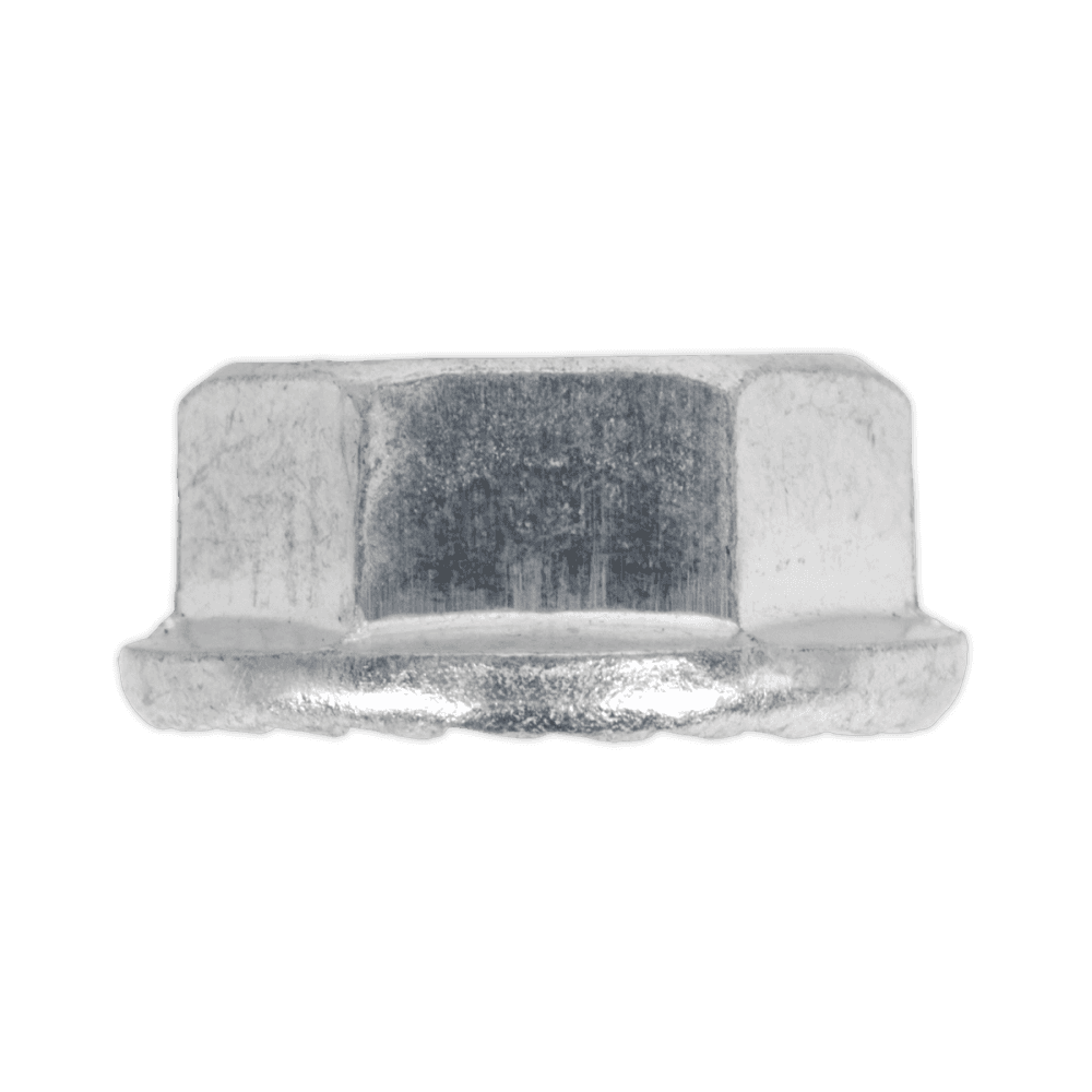 Flange Nut Serrated M6 Zinc DIN 6923 Pack of 100 : Model No.FN6